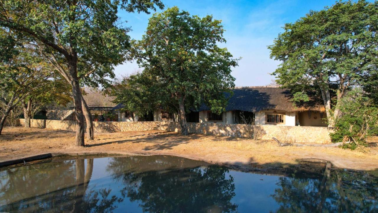 Gwango Elephant Lodge Dete Kültér fotó