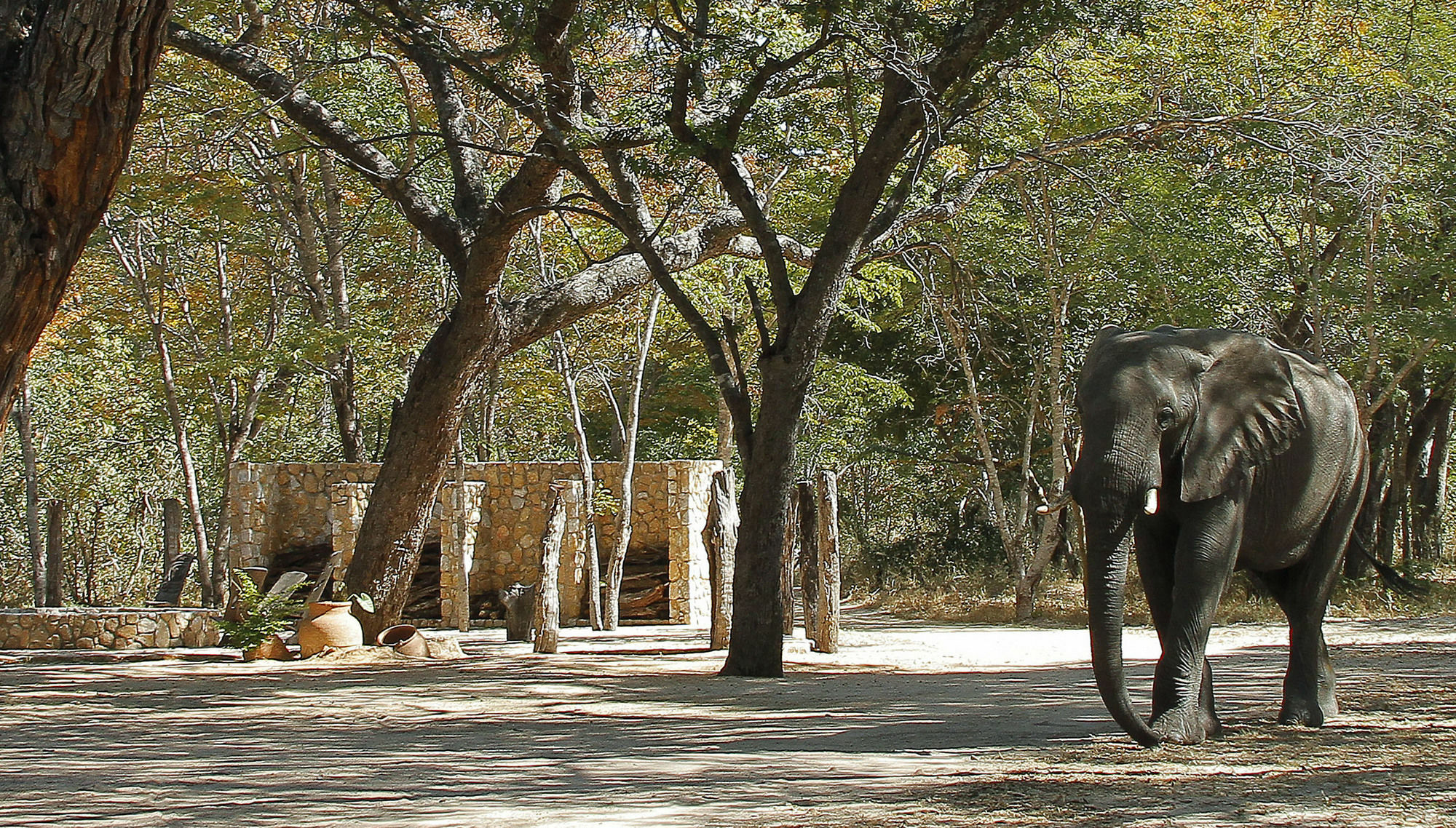 Gwango Elephant Lodge Dete Kültér fotó